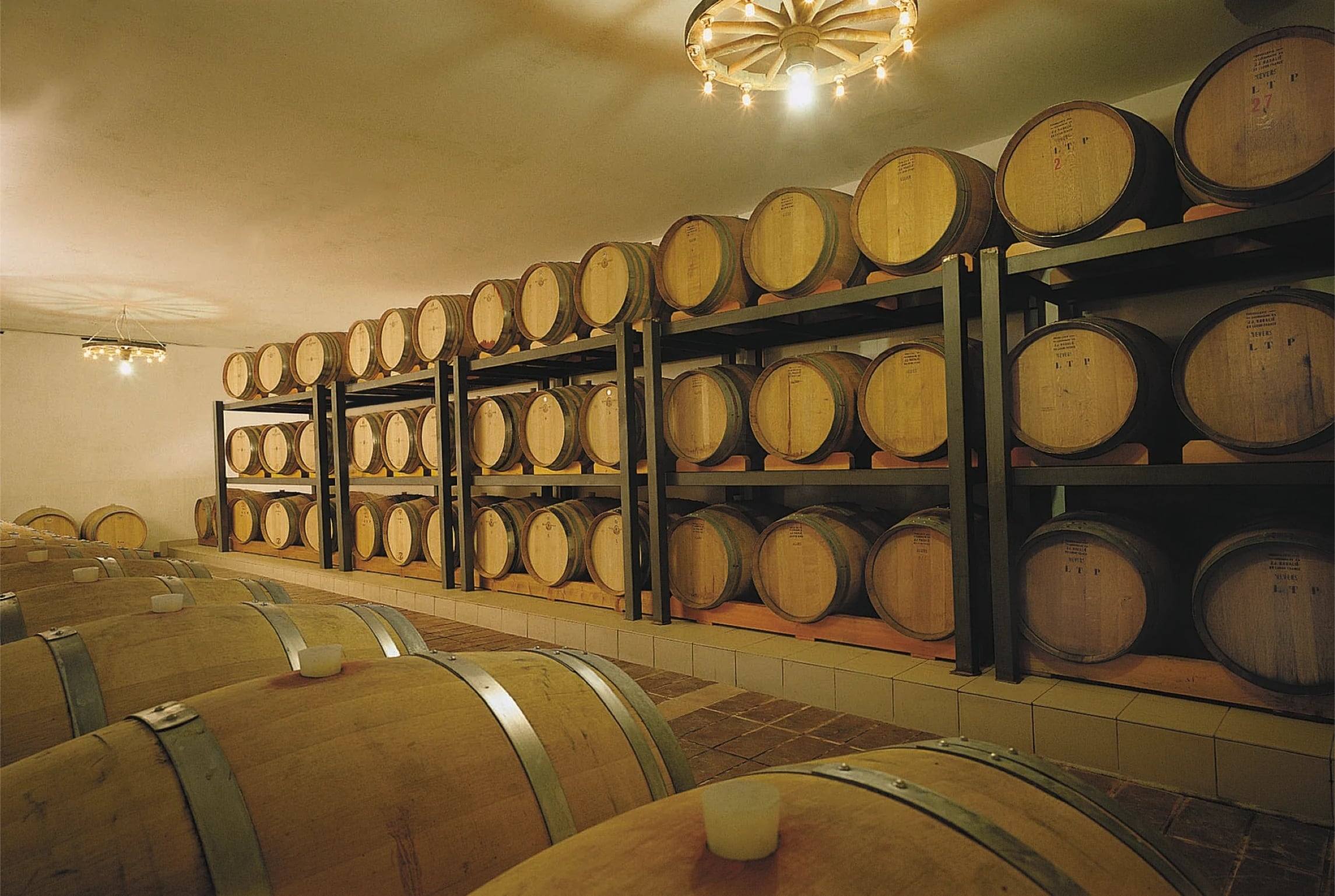 Barrel cellar with French oak casks