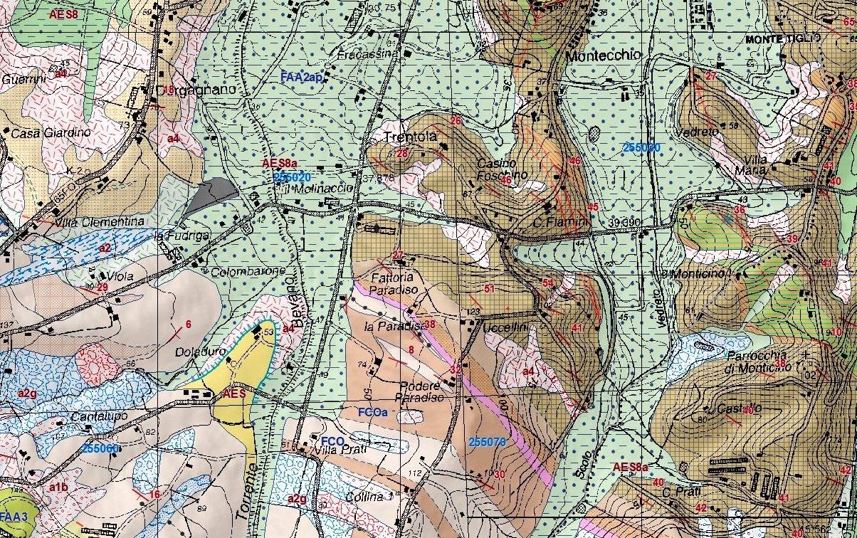 Carta geologica dei terreni di Fattoria Paradiso