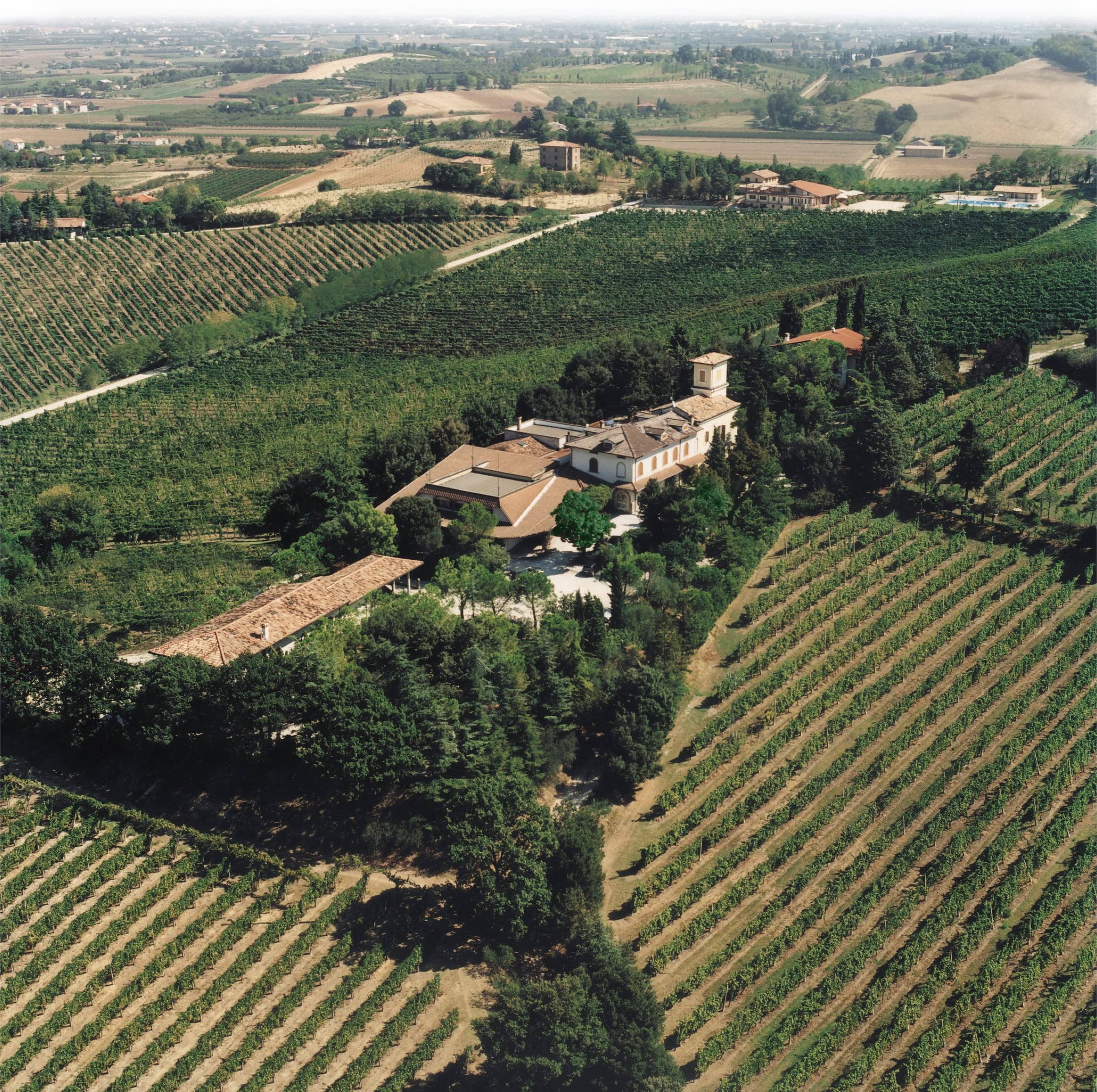Veduta aerea della Villa tra i vigneti