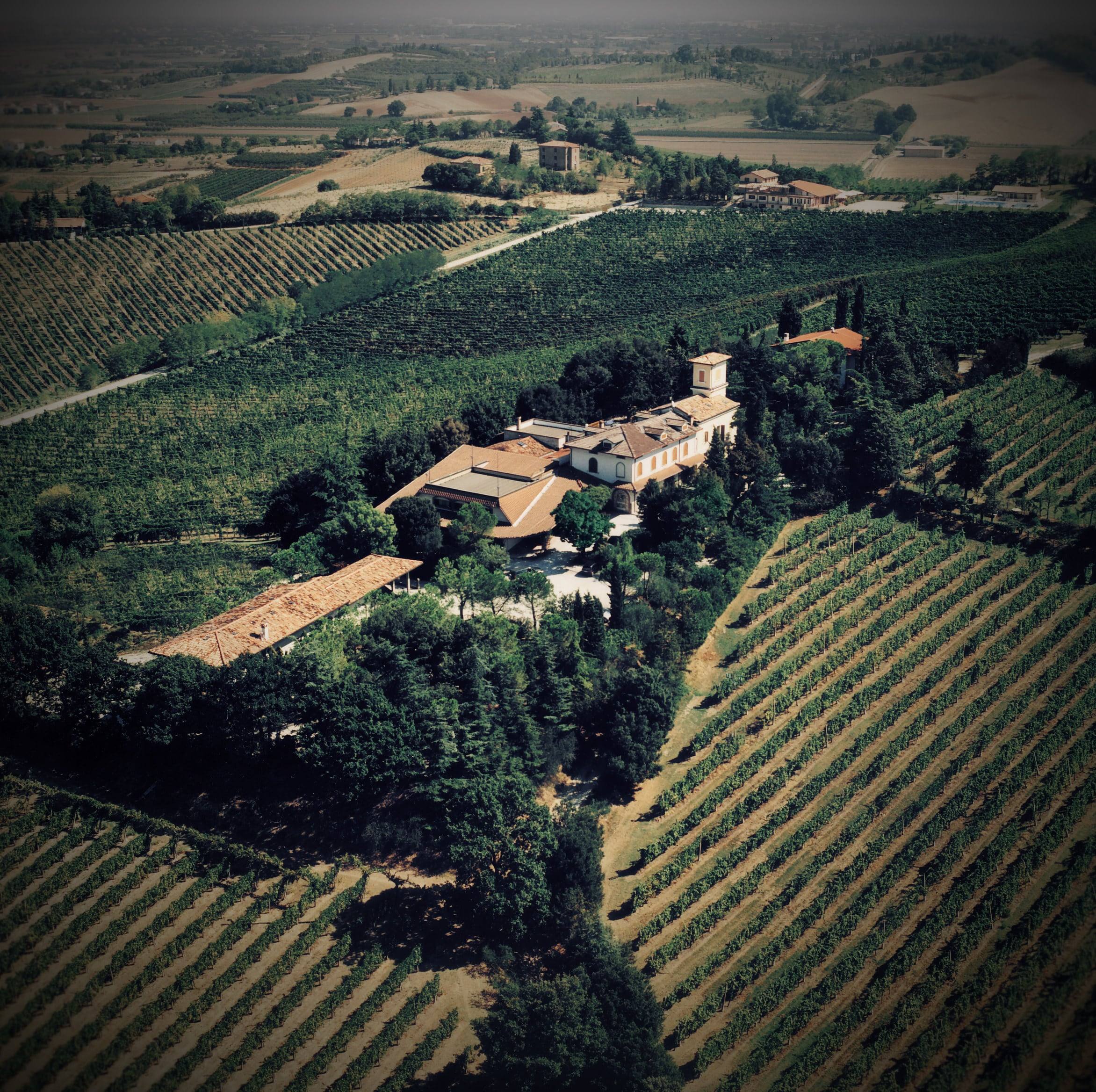 La Villa tra le vigne